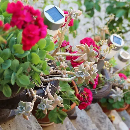 La Roche Blonde Сasa de vacaciones